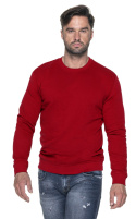 Bluza klasyczna Geffer 600 z nadrukiem